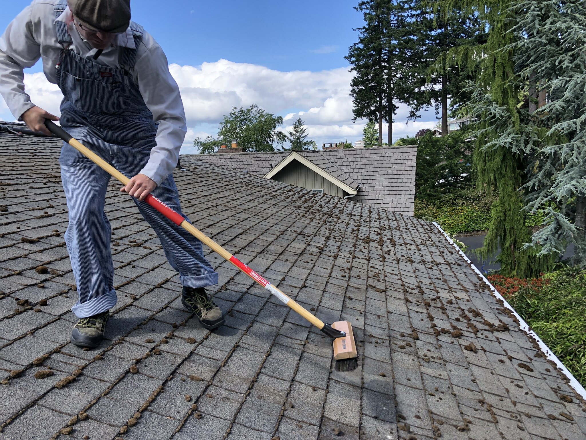 Transform Your Roof with Expert Surrey Roof Cleaning