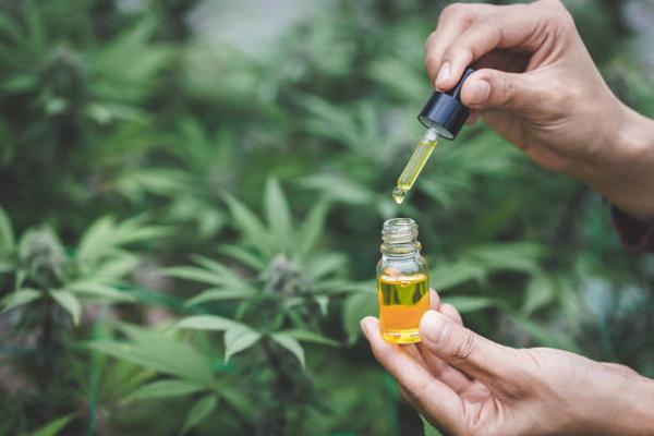 Natural Wellness Revolution: The Popularity of CBD Oil